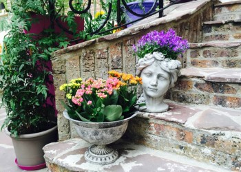 Jardin