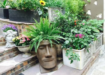 Jardin